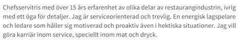 personlig profil cv exempel