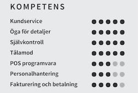 kompetens cv exempel