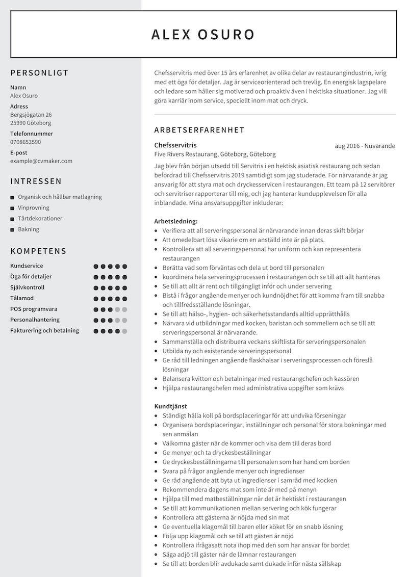 Exempel på CV