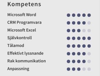 kompetens cv exempel
