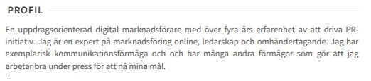 personlig profil cv exempel