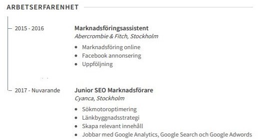 arbetslivserfarenhet cv exempel