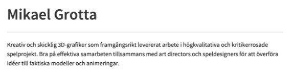 personlig profil cv exempel