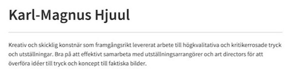 personlig profil cv exempel