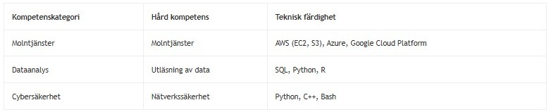 IT Kunskaper i CV