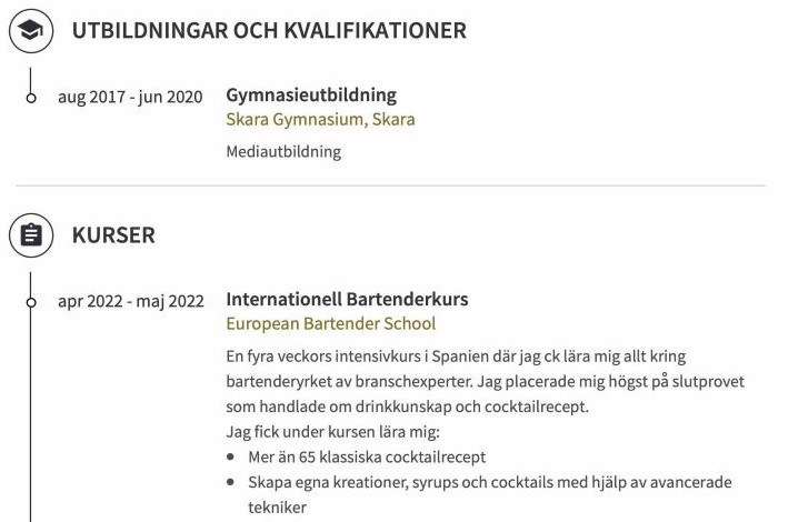 utbildningserfarenhet cv exempel