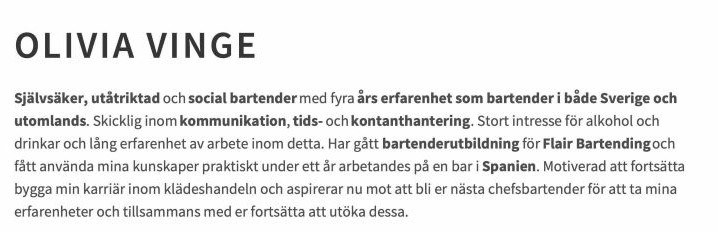personlig profil cv exempel