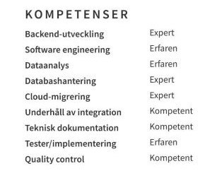 kompetens cv exempel